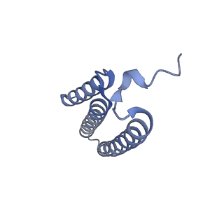 32214_7vys_k_v1-1
Membrane arm of active state CI from Q1-NADH dataset