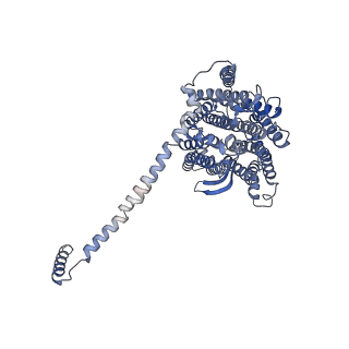 32214_7vys_l_v1-1
Membrane arm of active state CI from Q1-NADH dataset