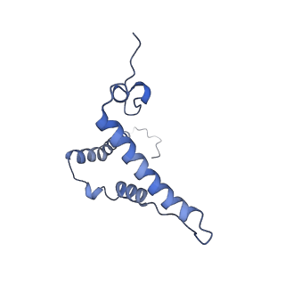 32214_7vys_o_v1-1
Membrane arm of active state CI from Q1-NADH dataset