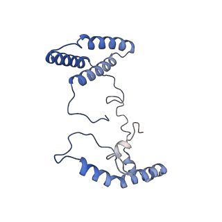 32214_7vys_p_v1-1
Membrane arm of active state CI from Q1-NADH dataset