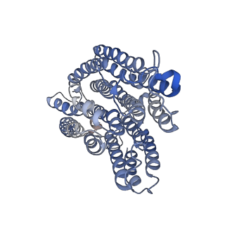 32214_7vys_r_v1-1
Membrane arm of active state CI from Q1-NADH dataset