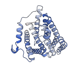 32214_7vys_s_v1-1
Membrane arm of active state CI from Q1-NADH dataset