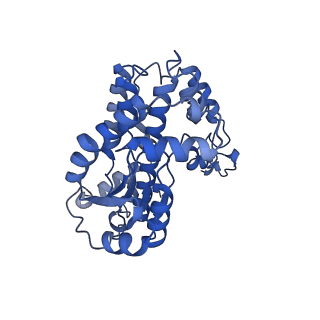 32214_7vys_w_v1-1
Membrane arm of active state CI from Q1-NADH dataset