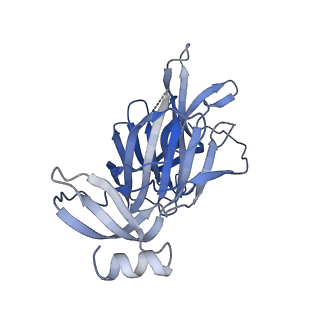 43659_8vyf_A_v1-0
SARS-CoV-2 S NTD (C.37 Lambda variant) plus S2L20 and S2X303 Fabs, local refinement