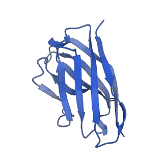 43659_8vyf_B_v1-0
SARS-CoV-2 S NTD (C.37 Lambda variant) plus S2L20 and S2X303 Fabs, local refinement