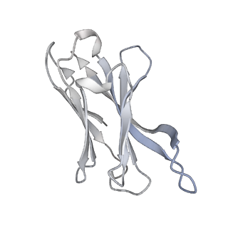 43659_8vyf_H_v1-0
SARS-CoV-2 S NTD (C.37 Lambda variant) plus S2L20 and S2X303 Fabs, local refinement