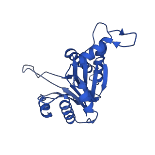 8741_5vy3_0_v1-6
Thermoplasma acidophilum 20S Proteasome using 200keV with stage position