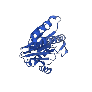 8741_5vy3_1_v1-6
Thermoplasma acidophilum 20S Proteasome using 200keV with stage position