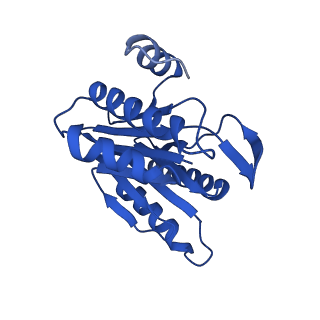 8741_5vy3_D_v1-6
Thermoplasma acidophilum 20S Proteasome using 200keV with stage position