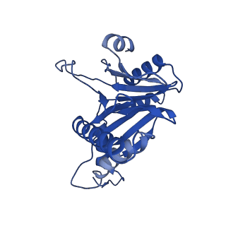 8741_5vy3_E_v1-6
Thermoplasma acidophilum 20S Proteasome using 200keV with stage position