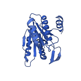 8741_5vy3_F_v1-6
Thermoplasma acidophilum 20S Proteasome using 200keV with stage position