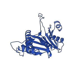 8741_5vy3_G_v1-6
Thermoplasma acidophilum 20S Proteasome using 200keV with stage position