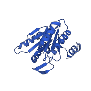 8741_5vy3_H_v1-6
Thermoplasma acidophilum 20S Proteasome using 200keV with stage position