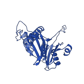 8741_5vy3_I_v1-6
Thermoplasma acidophilum 20S Proteasome using 200keV with stage position