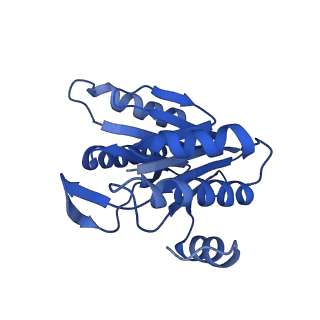 8741_5vy3_J_v1-6
Thermoplasma acidophilum 20S Proteasome using 200keV with stage position