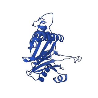 8741_5vy3_K_v1-6
Thermoplasma acidophilum 20S Proteasome using 200keV with stage position