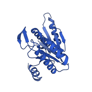 8741_5vy3_L_v1-6
Thermoplasma acidophilum 20S Proteasome using 200keV with stage position