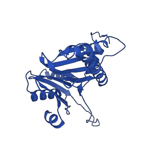 8741_5vy3_M_v1-6
Thermoplasma acidophilum 20S Proteasome using 200keV with stage position