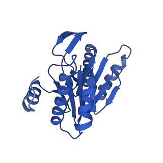 8741_5vy3_N_v1-6
Thermoplasma acidophilum 20S Proteasome using 200keV with stage position