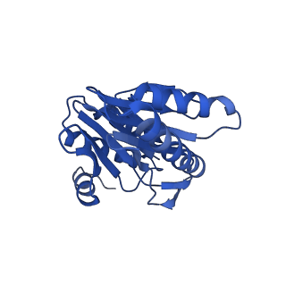 8741_5vy3_P_v1-5
Thermoplasma acidophilum 20S Proteasome using 200keV with stage position