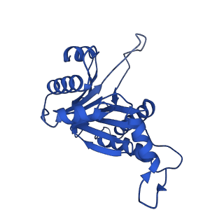 8741_5vy3_Q_v1-5
Thermoplasma acidophilum 20S Proteasome using 200keV with stage position