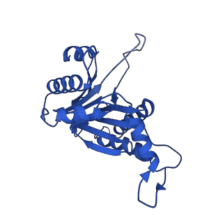 8741_5vy3_Q_v1-6
Thermoplasma acidophilum 20S Proteasome using 200keV with stage position