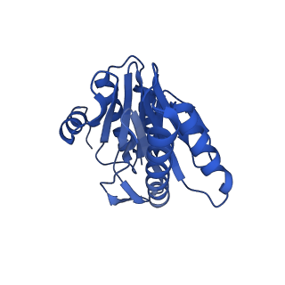 8741_5vy3_R_v1-5
Thermoplasma acidophilum 20S Proteasome using 200keV with stage position