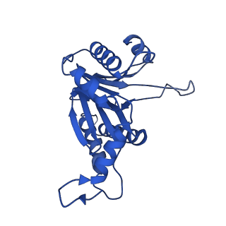 8741_5vy3_S_v1-6
Thermoplasma acidophilum 20S Proteasome using 200keV with stage position