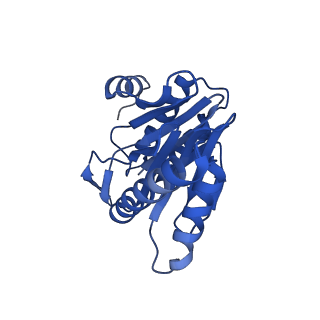 8741_5vy3_T_v1-6
Thermoplasma acidophilum 20S Proteasome using 200keV with stage position