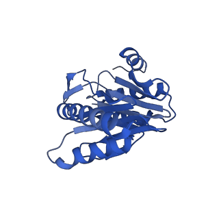 8741_5vy3_V_v1-6
Thermoplasma acidophilum 20S Proteasome using 200keV with stage position