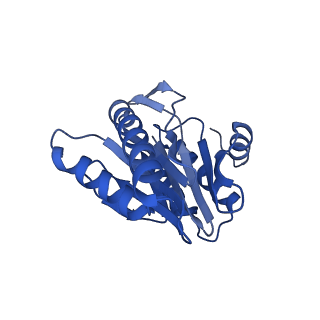 8741_5vy3_X_v1-6
Thermoplasma acidophilum 20S Proteasome using 200keV with stage position