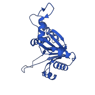 8741_5vy3_Y_v1-5
Thermoplasma acidophilum 20S Proteasome using 200keV with stage position
