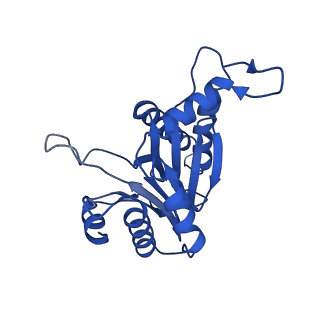 8742_5vy4_0_v1-6
Thermoplasma acidophilum 20S Proteasome using 200keV with image shift