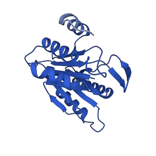 8742_5vy4_D_v1-6
Thermoplasma acidophilum 20S Proteasome using 200keV with image shift