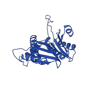 8742_5vy4_G_v1-6
Thermoplasma acidophilum 20S Proteasome using 200keV with image shift