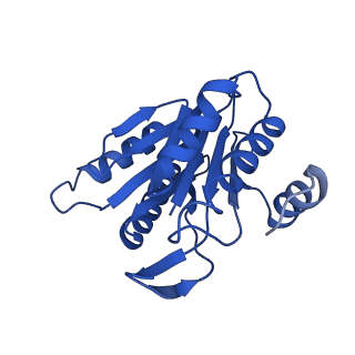 8742_5vy4_H_v1-6
Thermoplasma acidophilum 20S Proteasome using 200keV with image shift