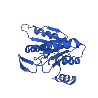 8742_5vy4_J_v1-5
Thermoplasma acidophilum 20S Proteasome using 200keV with image shift