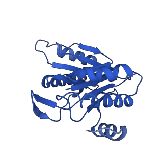 8742_5vy4_J_v1-6
Thermoplasma acidophilum 20S Proteasome using 200keV with image shift