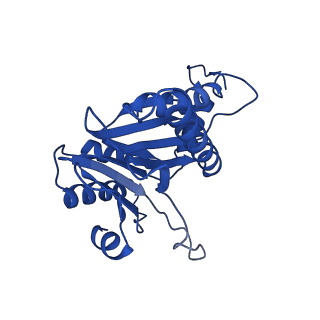 8742_5vy4_M_v1-6
Thermoplasma acidophilum 20S Proteasome using 200keV with image shift