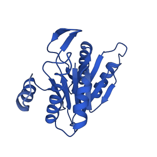 8742_5vy4_N_v1-6
Thermoplasma acidophilum 20S Proteasome using 200keV with image shift