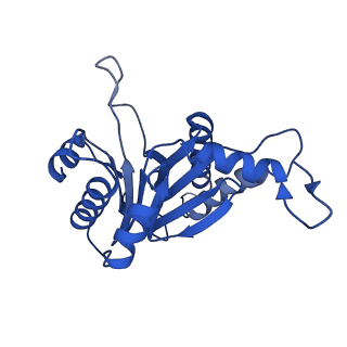 8742_5vy4_O_v1-5
Thermoplasma acidophilum 20S Proteasome using 200keV with image shift