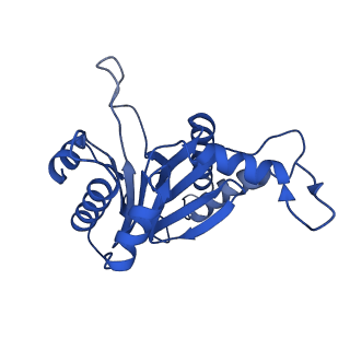 8742_5vy4_O_v1-6
Thermoplasma acidophilum 20S Proteasome using 200keV with image shift