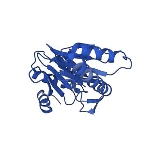 8742_5vy4_P_v1-6
Thermoplasma acidophilum 20S Proteasome using 200keV with image shift