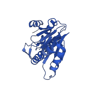 8742_5vy4_T_v1-6
Thermoplasma acidophilum 20S Proteasome using 200keV with image shift