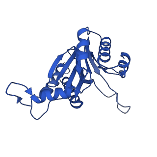 8742_5vy4_U_v1-6
Thermoplasma acidophilum 20S Proteasome using 200keV with image shift