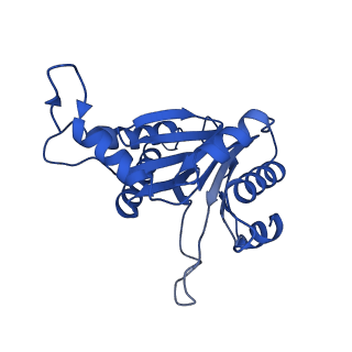 8742_5vy4_W_v1-6
Thermoplasma acidophilum 20S Proteasome using 200keV with image shift