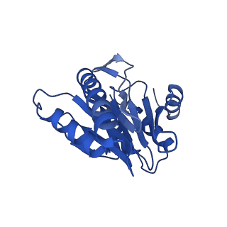 8742_5vy4_X_v1-6
Thermoplasma acidophilum 20S Proteasome using 200keV with image shift