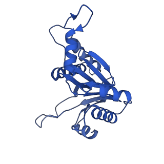 8742_5vy4_Y_v1-6
Thermoplasma acidophilum 20S Proteasome using 200keV with image shift