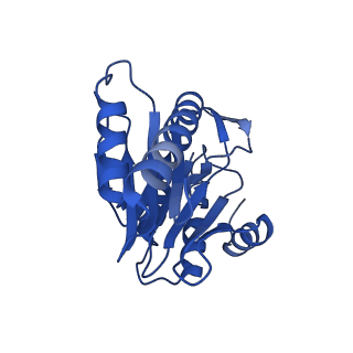 8742_5vy4_Z_v1-5
Thermoplasma acidophilum 20S Proteasome using 200keV with image shift