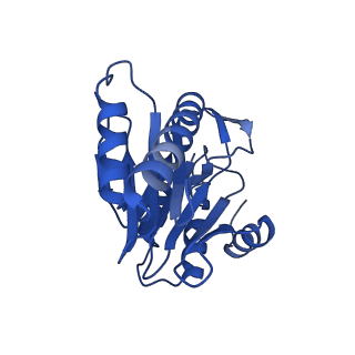 8742_5vy4_Z_v1-6
Thermoplasma acidophilum 20S Proteasome using 200keV with image shift